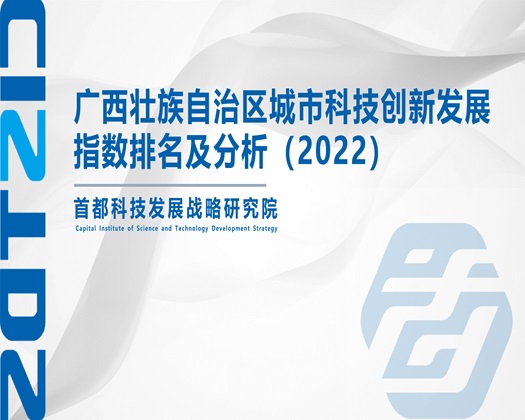 手机看片国产1024【成果发布】广西壮族自治区城市科技创新发展指数排名及分析（2022）